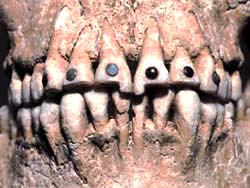 Foto: Dentes crnio maia do sculo IX d.c.